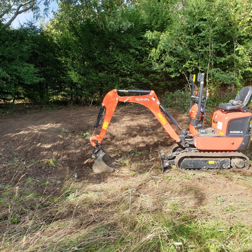 Overgrown vegetation has been cleared.